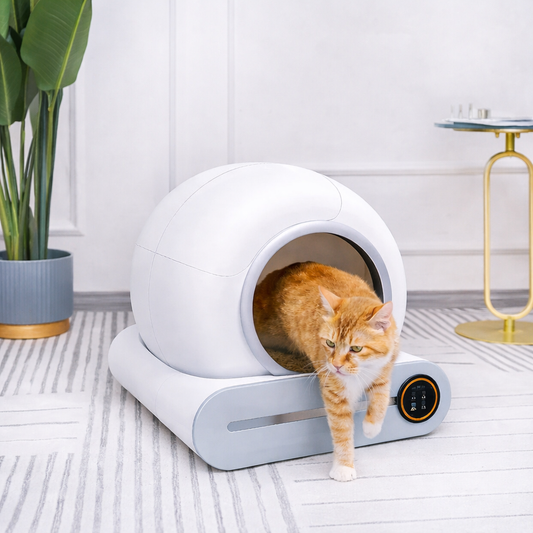 Automatic Self-Cleaning Cat Litter Box – Odour-Free, Stress-Free Living